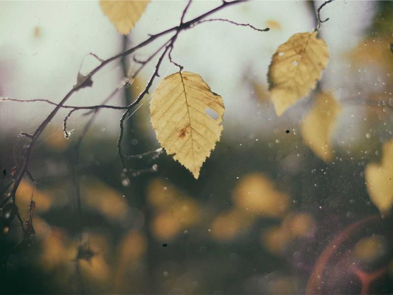 客服云<br>智能应答与工单分流系统